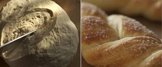 Bread basics on the rise and ready to go. Photo by Donna Turner Ruhlman.