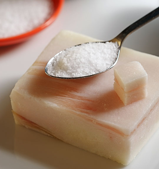 Salt and fat does a body ight or wrong? Photo by Donna Turner Ruhlman