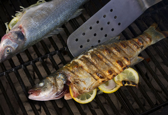 Perfectly grilled branzino. Photo by Donna Turner Ruhlman.