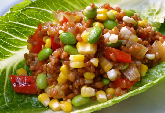 Wheat berry salad. Photo by Donna Turner Ruhlman.