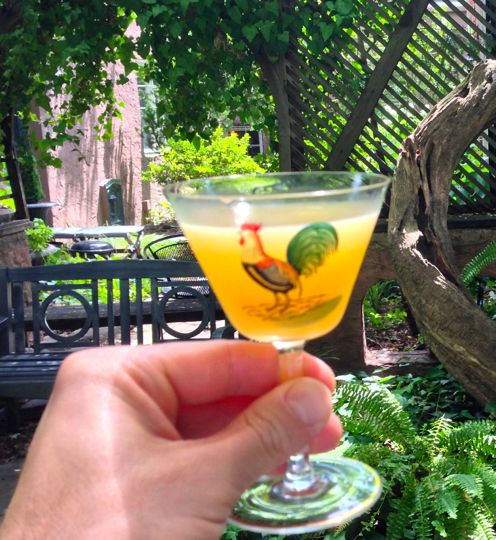 The xxxxx a great summer cocktail. Photo by me.