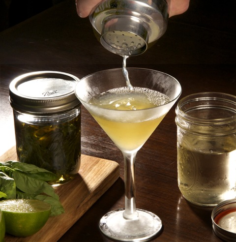 The basil gimlet