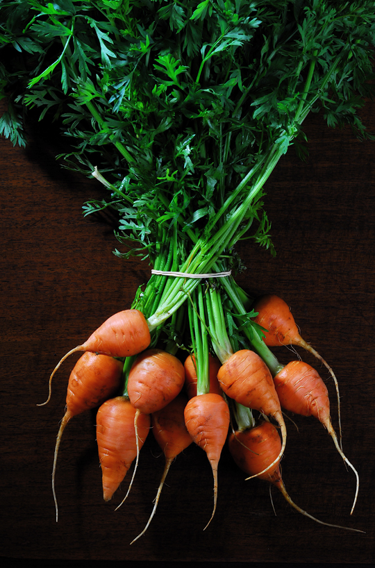 Fresh carrots. Photo by Donna Turner Ruhlman.