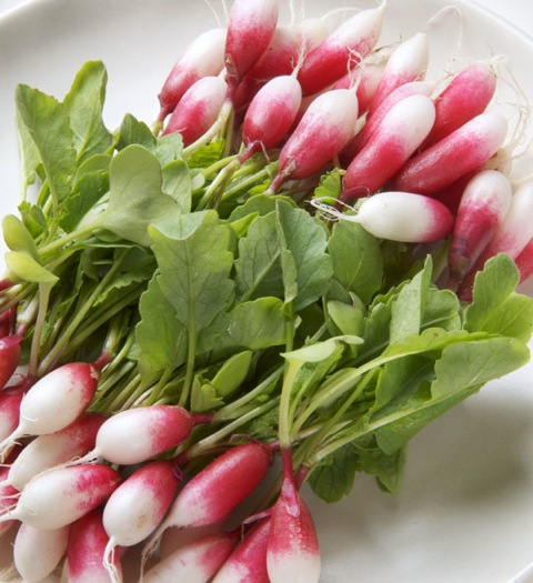 Baby breakfast radishes (the bouquet I should have gotten for Donna on Valentine's Day).