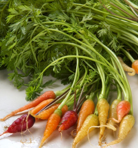 Baby carrots, from Chef's Garden,