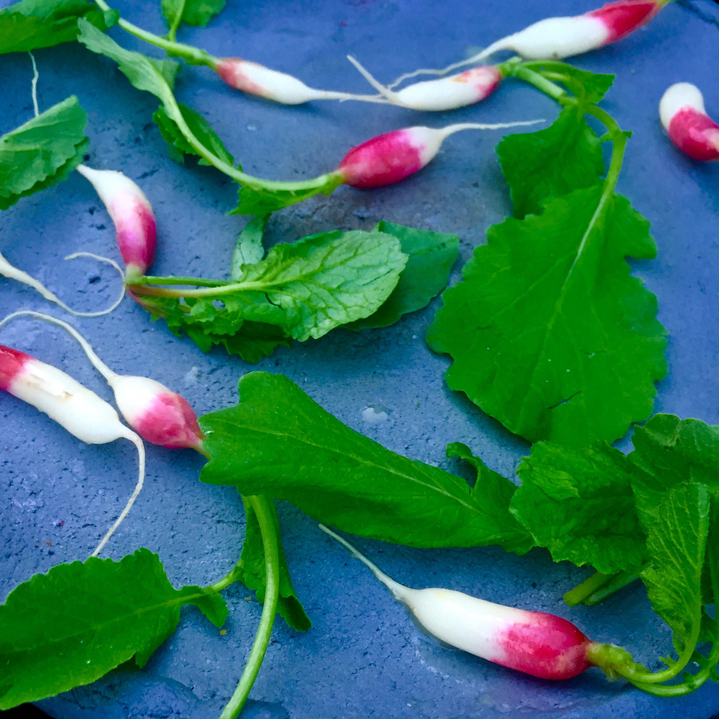 radish